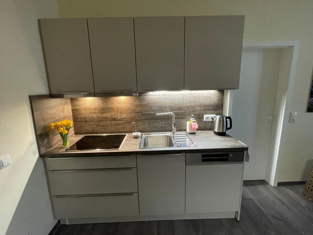 Elisabett Erfurt - Apartment Elisa - 4 Schlafzimmer Und 2 Baeder, Bis 6 Personen Dış mekan fotoğraf